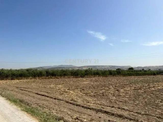 Terreno en venta en Comarca de la Vega de Granada, Andalucía