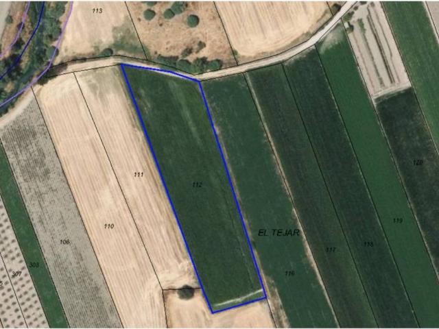 Terreno en venta en Comarca de la Vega de Granada, Andalucía
