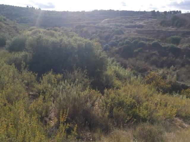 Terreno en venta en Garrigues, Catalunya