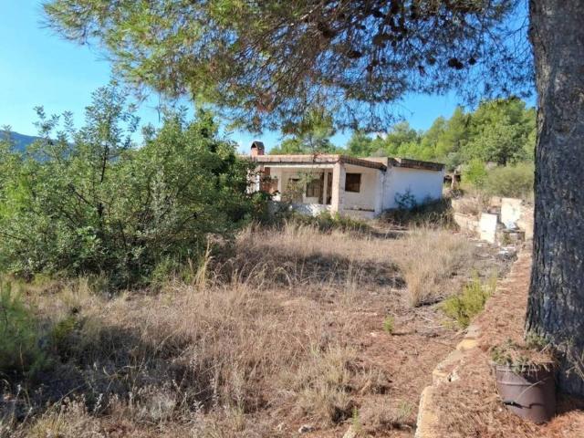 Terreno en venta en l'Alcalatén, Valencia