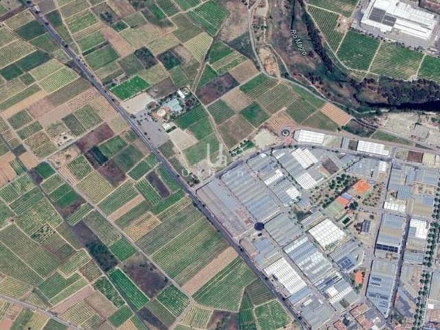 Terreno en venta en la Ribera Alta, Valencia