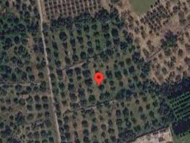 Terreno en venta en Baix Ebre, Catalunya