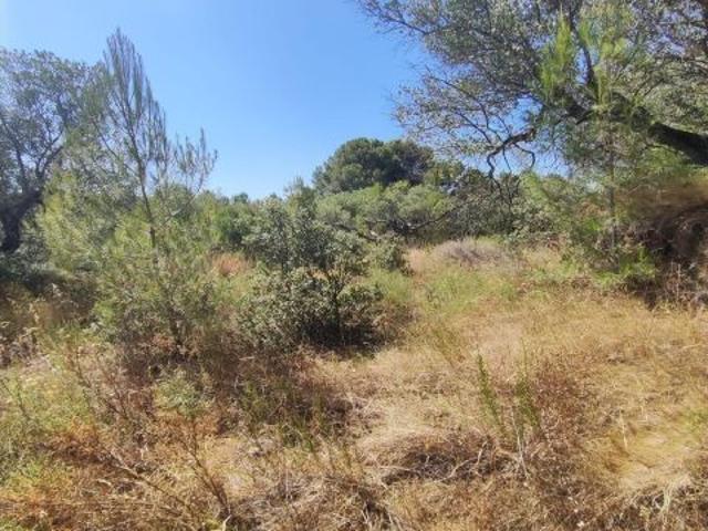 Local Comercial en venta en Baix Camp, Catalunya