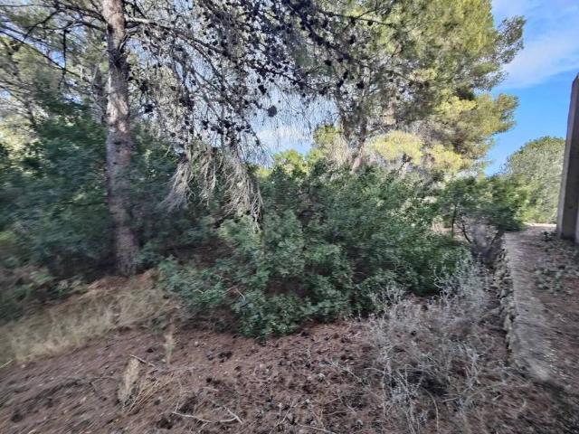 Terreno en venta en Entre Tarongers i Flors, la Marina Baixa