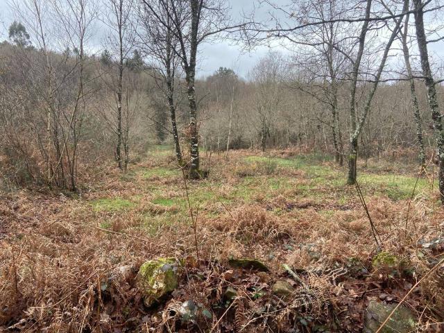 Terreno en venta en O Deza, Galicia