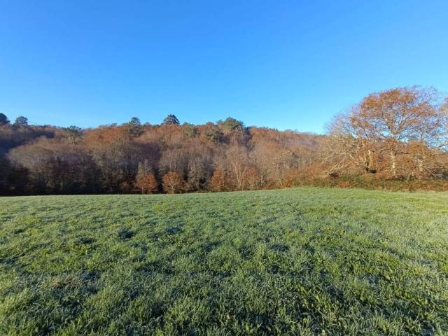 Terreno en venta en O Deza, Galicia