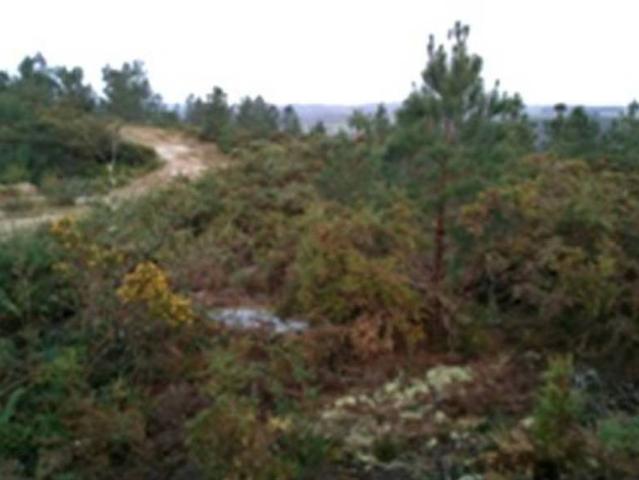Terreno en venta en O Deza, Galicia