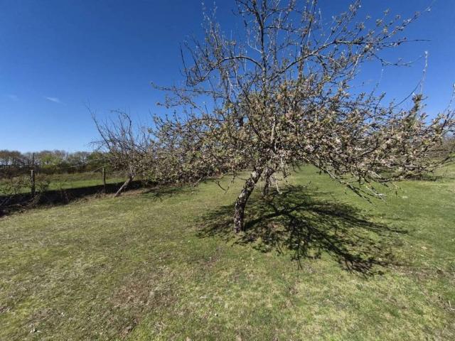 Terreno en venta en O Deza, Galicia