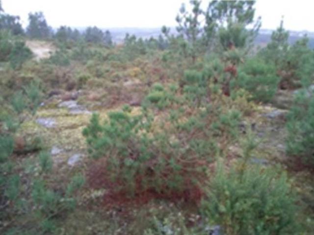 Terreno en venta en O Deza, Galicia