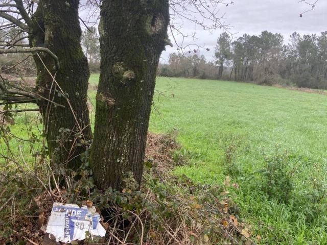 Terreno en venta en O Deza, Galicia