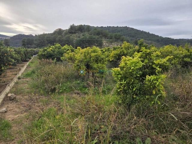 Terreno en venta en la Safor, Valencia
