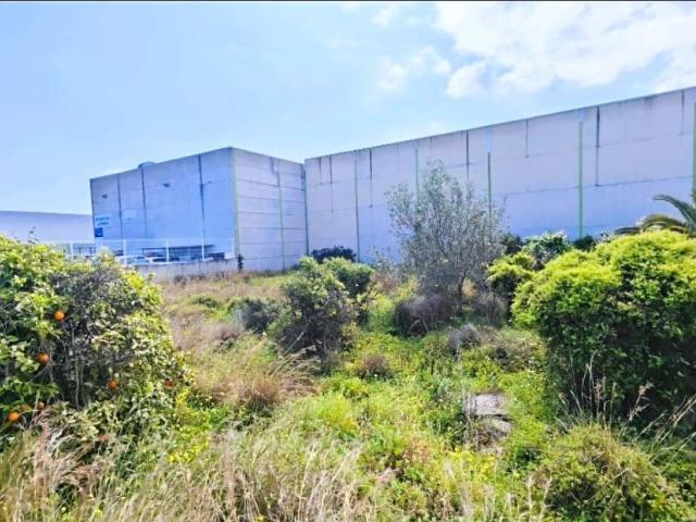 Terreno en venta en la Safor, Valencia
