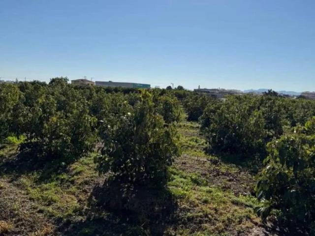 Terreno en venta en la Safor, Valencia
