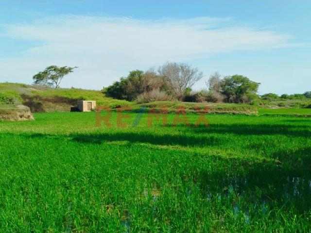 Terreno venta en Lambayeque