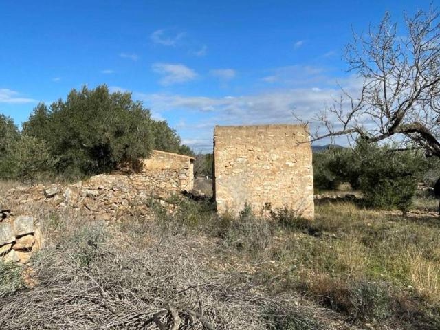 Terreno en venta en Baix Ebre, Catalunya