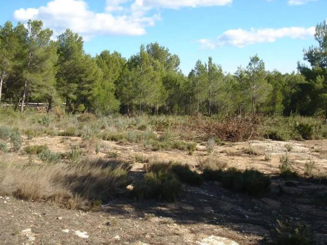 Terreno en venta en Sant Jordi d'Alfama, Baix Ebre
