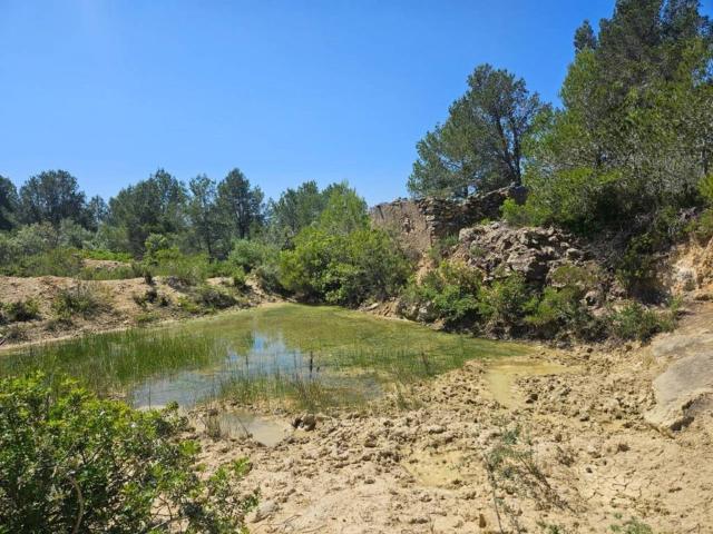Terreno en venta en Baix Ebre, Catalunya