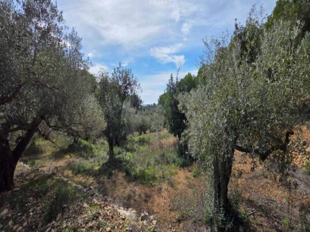 Terreno en venta en Baix Ebre, Catalunya