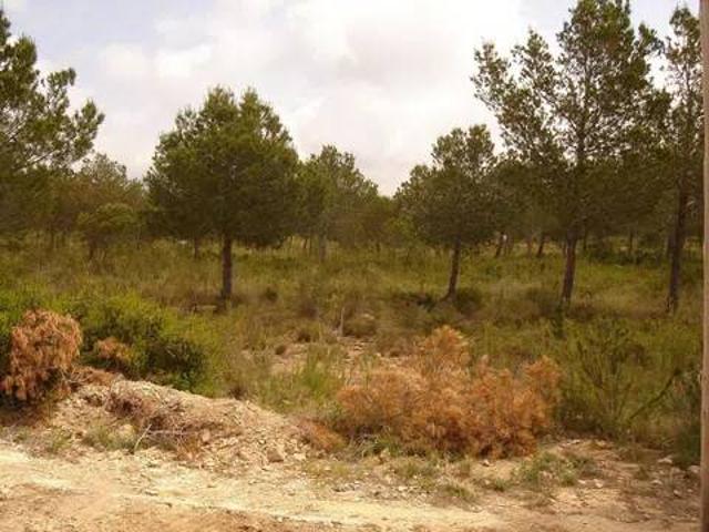 Terreno en venta en Sant Jordi d'Alfama, Baix Ebre