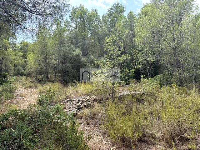 Terreno en venta en Racons, l'Ametlla de Mar