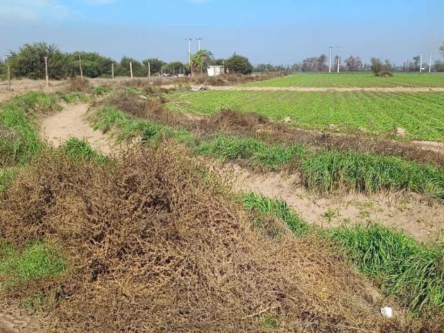 Terreno en Venta en Lampa