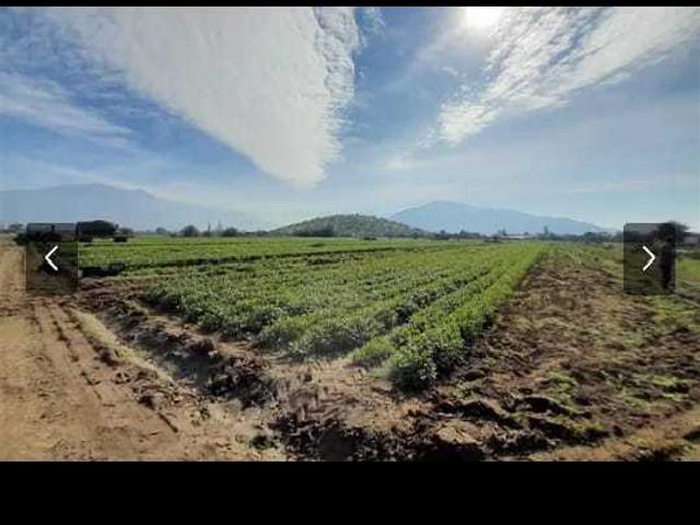 Terreno en Venta en Lampa