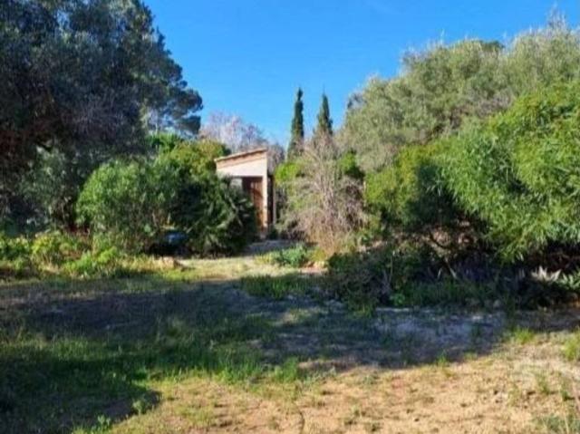 Terreno en venta en Baix Ebre, Catalunya