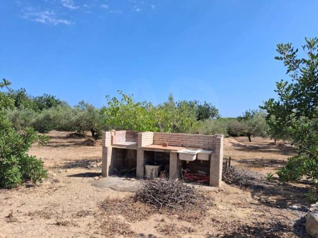 Terreno en venta en Baix Ebre, Catalunya