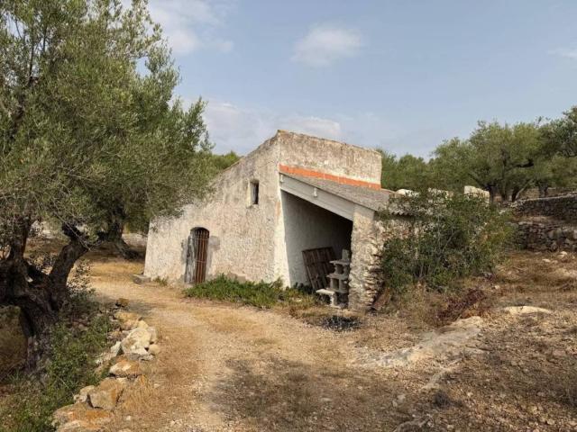 Terreno en venta en Baix Ebre, Catalunya