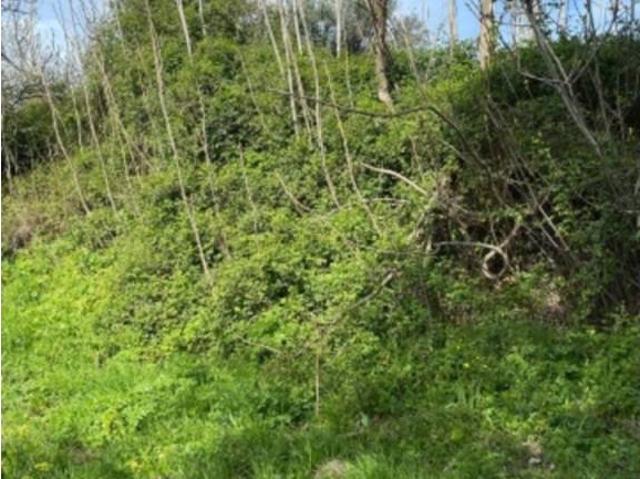 Terreno en venta en Comarca de la Alpujarra Granadina, Andalucía