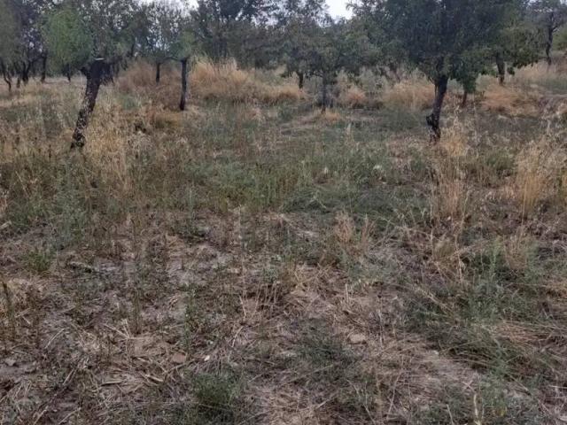 Terreno en venta en Comarca de Guadix, Andalucía