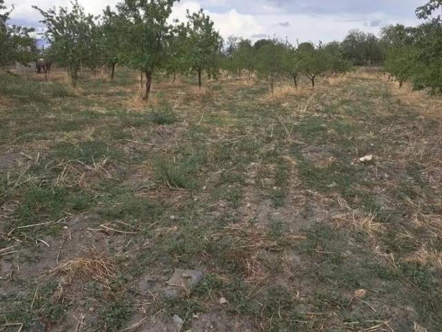 Terreno en venta en Comarca de Guadix, Andalucía