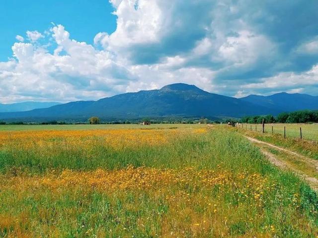 Terreno en venta en Lanzahíta