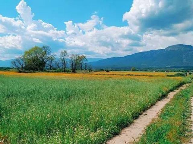 Terreno en venta en Lanzahíta, Castilla y León