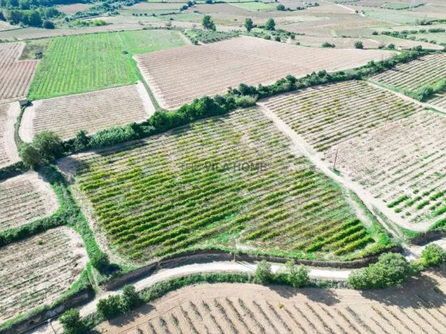 Terreno en venta en Baix Penedès, Catalunya
