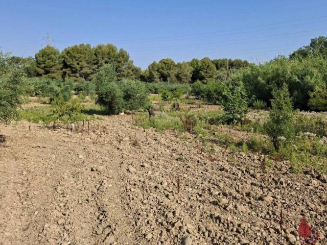 Terreno en venta en Baix Penedès, Catalunya