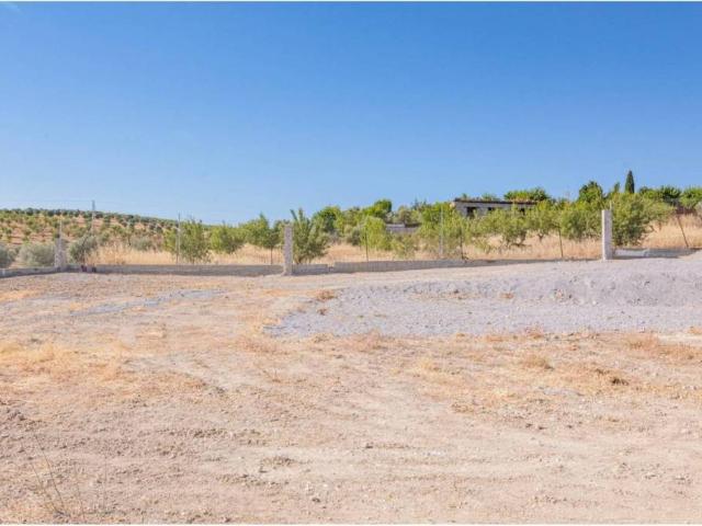 Terreno en venta en Comarca de la Vega de Granada, Andalucía