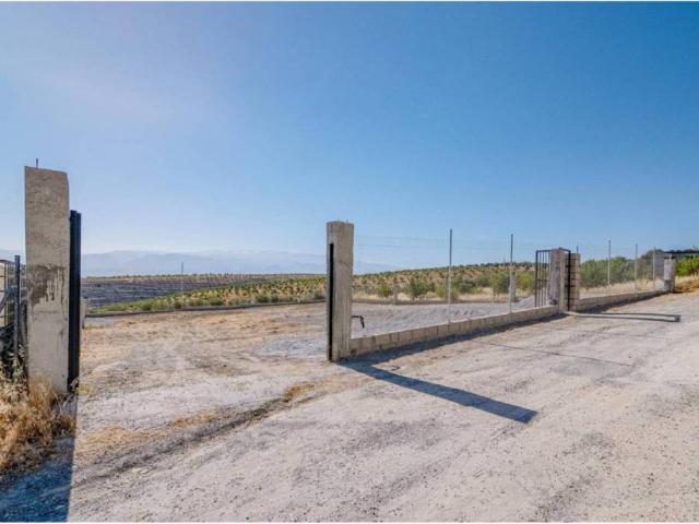 Terreno en venta en Comarca de la Vega de Granada, Andalucía