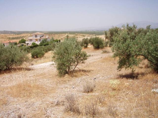 Terreno en venta en Urbanización San Javier, Comarca de la Vega de Granada