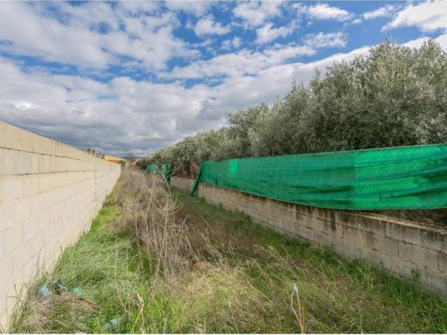 Terreno en venta en Comarca de la Vega de Granada, Andalucía