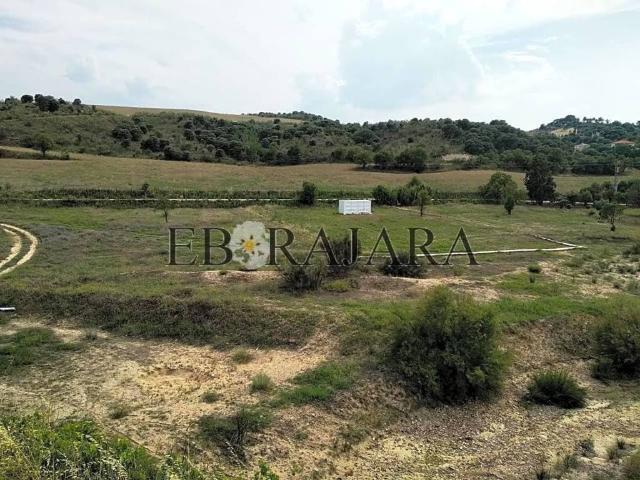 Terreno en venta en Las Herencias, Castilla-La Mancha