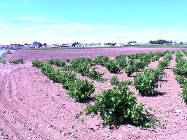Terreno en venta en Las Mesas, Castilla-La Mancha