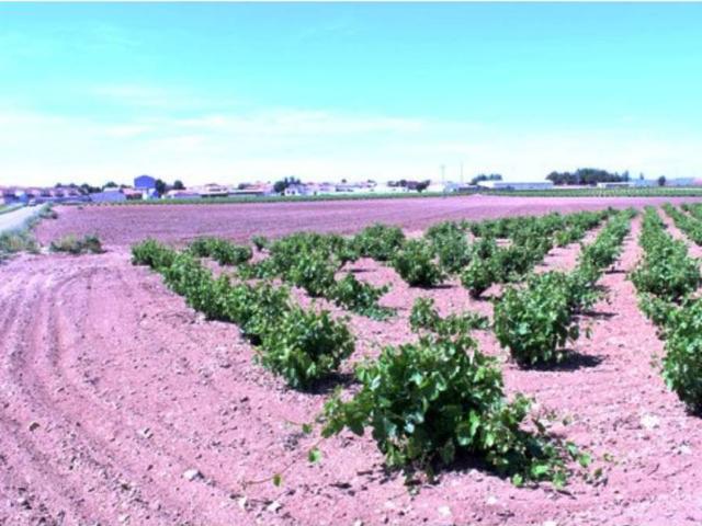 Terreno en venta en Las Mesas, Castilla-La Mancha
