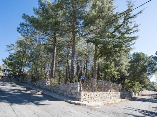 Terreno en venta en Las Navas Del Marqués, Castilla y León