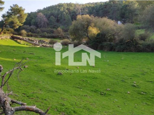 Terreno en venta en Las Navas Del Marqués, Castilla y León