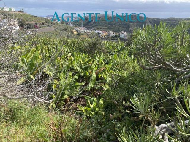 Terreno en venta en Gran Canaria, Canarias
