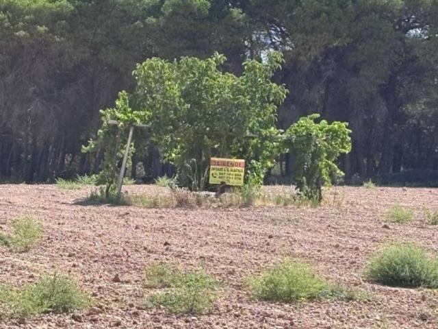 Terreno en venta en Las Pedroñeras, Castilla-La Mancha