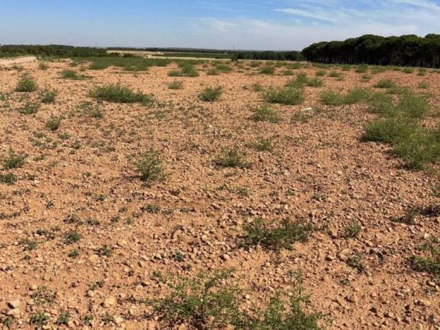 Terreno en venta en Las Pedroñeras, Castilla-La Mancha