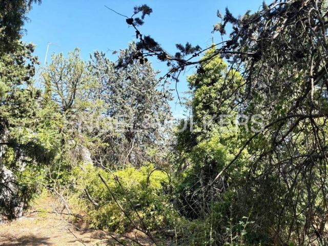 Terreno en venta en Las Rozas De Madrid