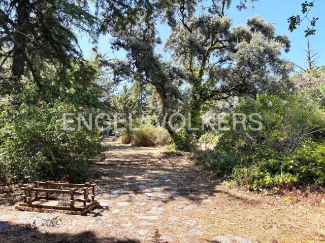 Terreno en venta en Las Rozas De Madrid, Madrid